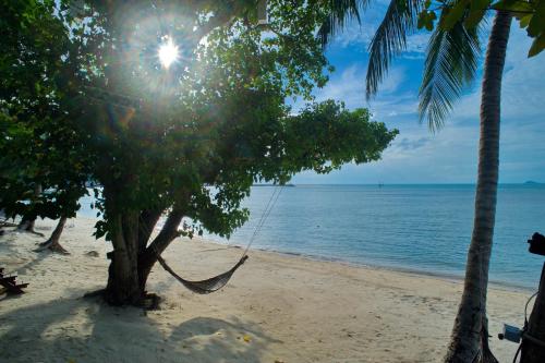 @ Samui Haus,Koh Samui>>Ko Samui,4 star