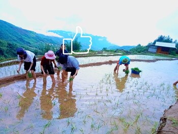 to ech homestay