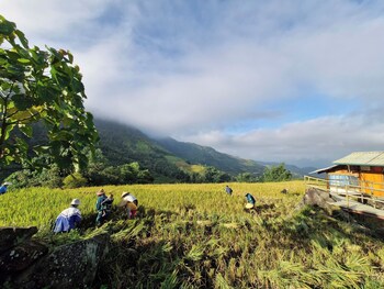 to ech homestay