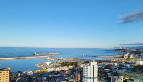nova stay gangneung