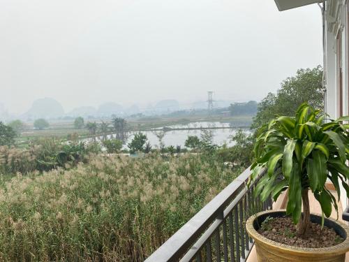 tam coc vivana hotel