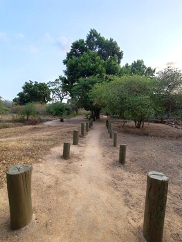 yaalu yaala safari camp
