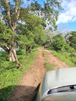 Yaalu Yaala Safari Camp,,3 star