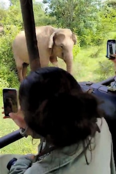 yaalu yaala safari camp