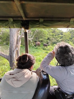 yaalu yaala safari camp