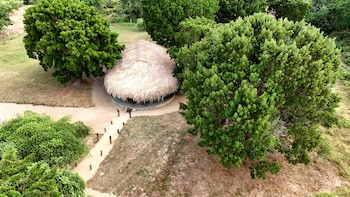 palatupana