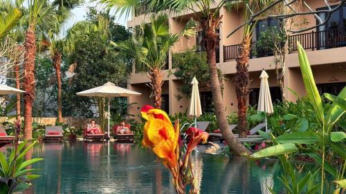 la lua resort ninh binh