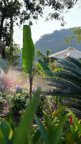 la lua resort ninh binh