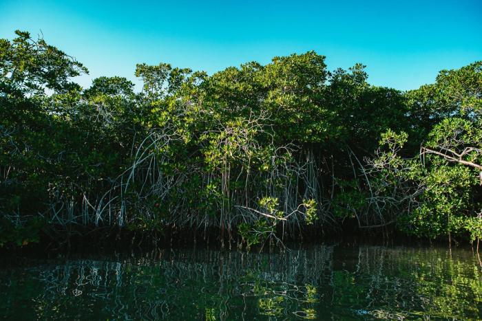 hotel fenix beach cartagena