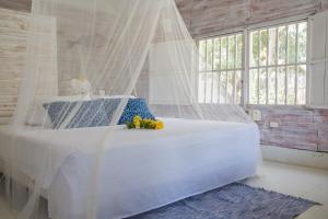 hotel fenix beach cartagena