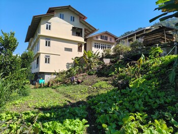 springhill farmstead