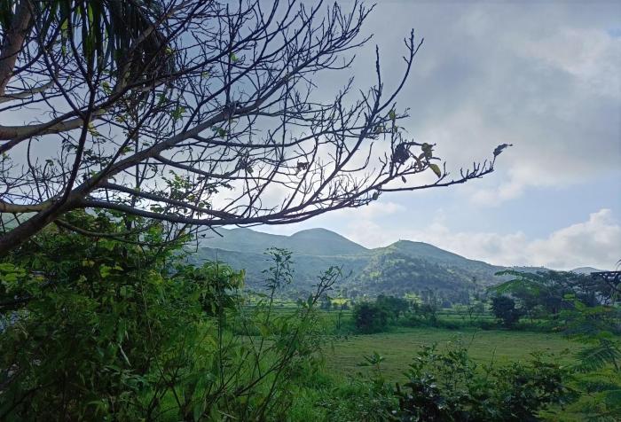 touchwood bliss resort igatpuri