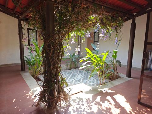 touchwood bliss resort igatpuri