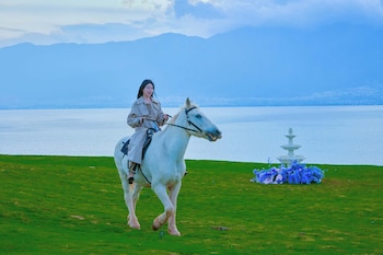 dali sea coconut muxin yeelen villa