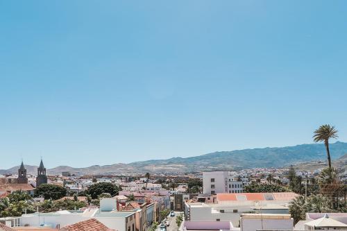 vvcondevega