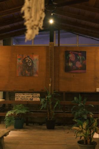 capital hikkaduwa