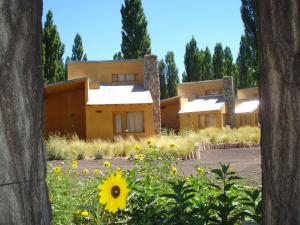 Monte Coiron,Malargue>>Las Lenas,3 star