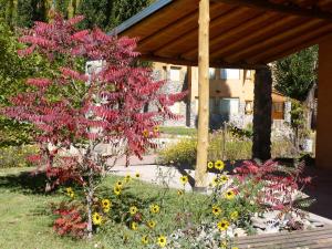 Monte Coiron,Malargue>>Las Lenas,3 star