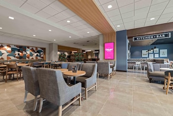 drury plaza hotel tampa brandon