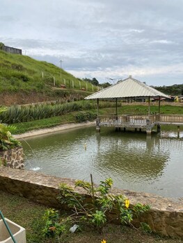 skygreen ecohotel