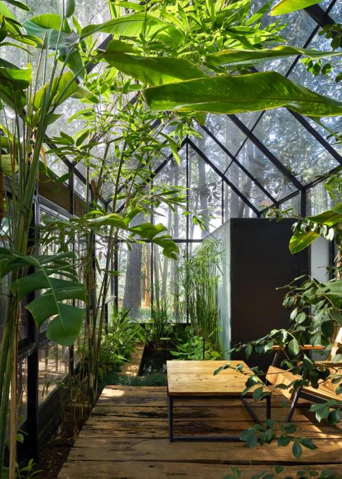 kaya retreat
