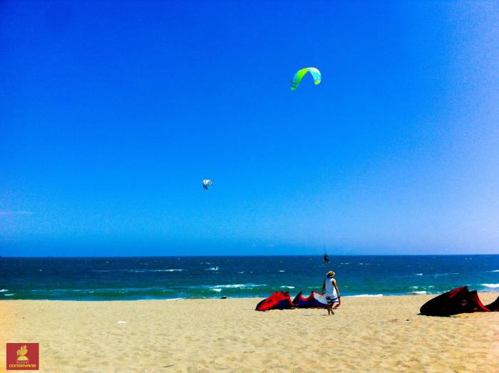 salt and wind living phan rang beachfront