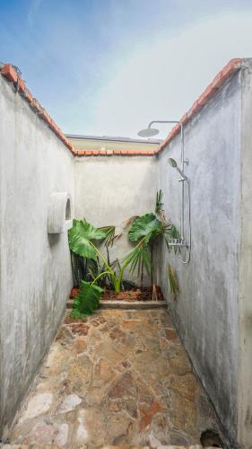 polhena