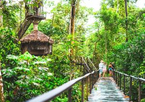Hotel On Vacation Amazon,Leticia>>Amazonas,3 star