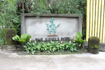 the jungle pots