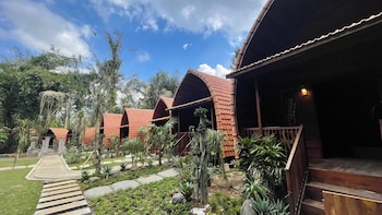 the jungle pots