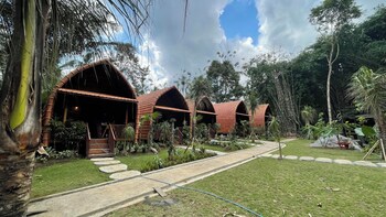 the jungle pots