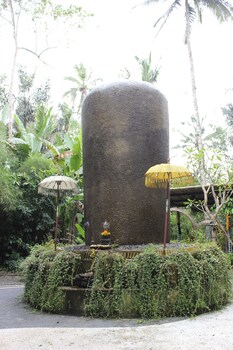 the jungle pots