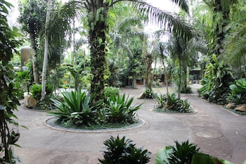 The Jungle Pots,,4 star