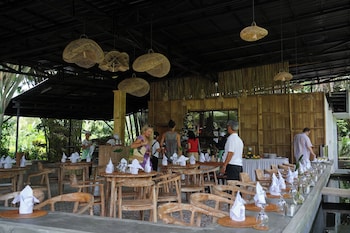 the jungle pots