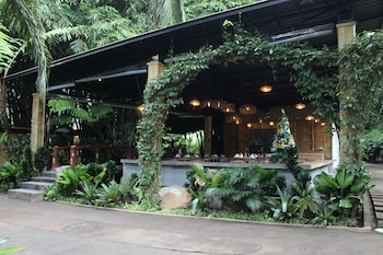 the jungle pots