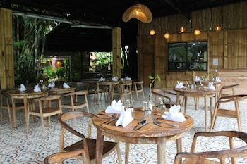 the jungle pots