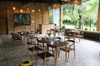 the jungle pots