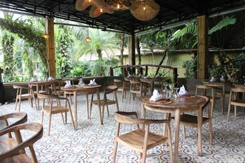 the jungle pots