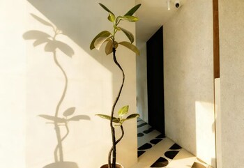 no 53 chaoyang street hotel