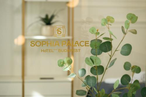 sophia palace hotel budapest