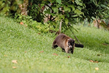 la fortuna