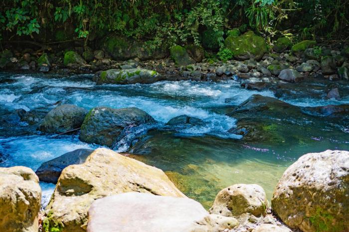 la fortuna