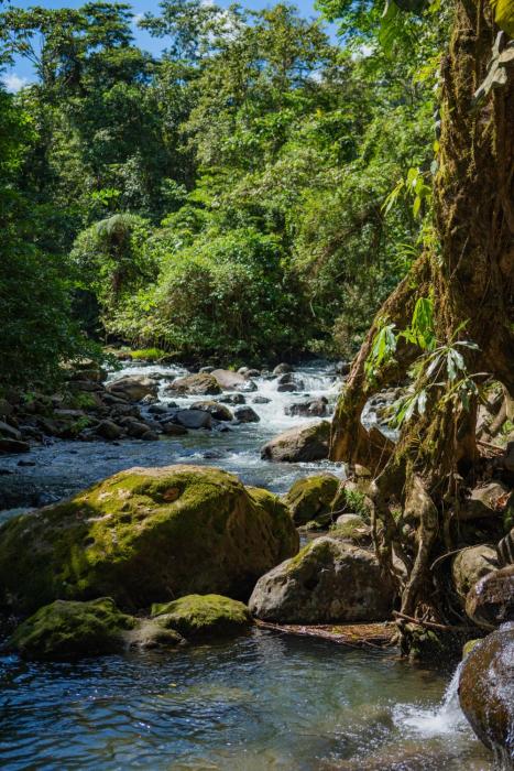 la fortuna