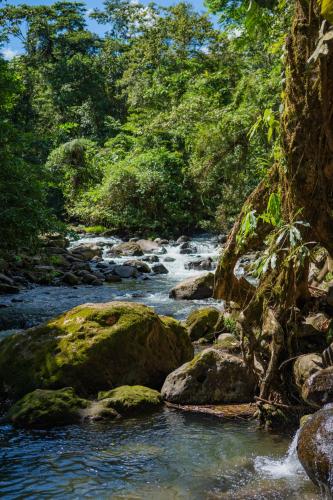 la fortuna