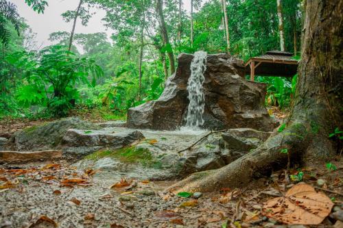 la fortuna