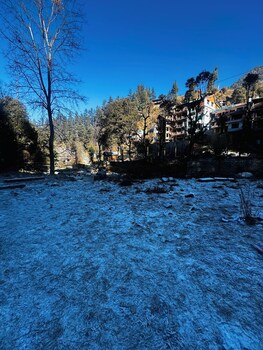 bawli treehouse