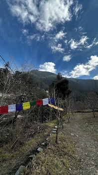 bawli treehouse