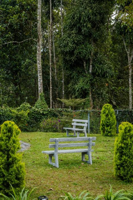 eeleem resorts and spa