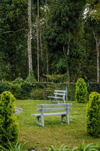 eeleem resorts and spa