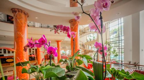 georgia palace hotel and spa